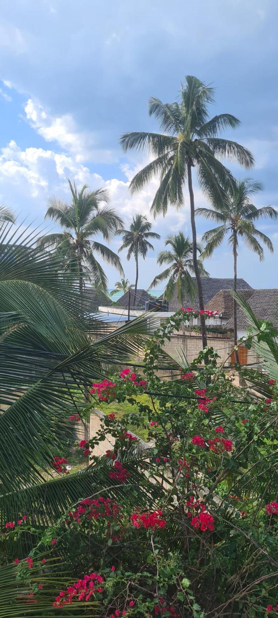 Mambo Boutique Nungwi Hotell Exteriör bild